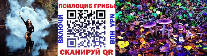 Галлюциногенные грибы GOLDEN TEACHER  сайты даркнета телеграм  Верхоянск 